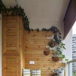 阳台的绿植搭配 让生活充满生机